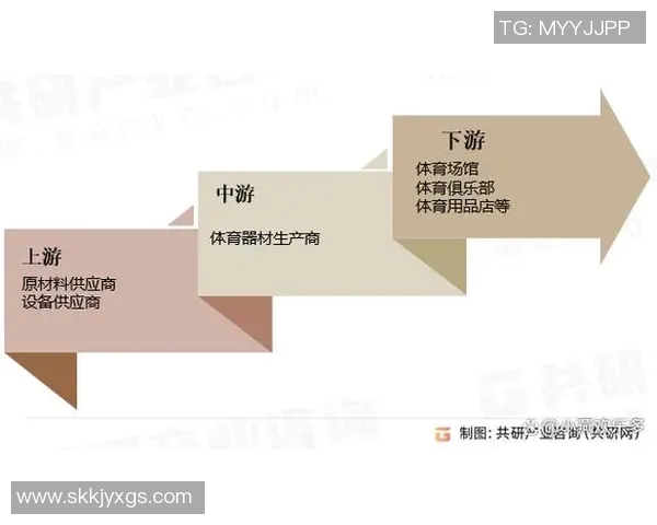 体育产业链深度解析