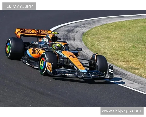 F1赛车工程师对比赛策略的重要作用